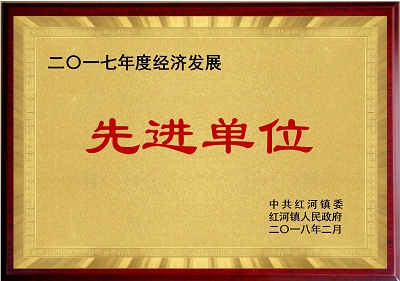 經濟發(fā)展先進單位